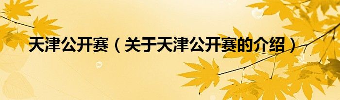 天津公開賽（關(guān)于天津公開賽的介紹）