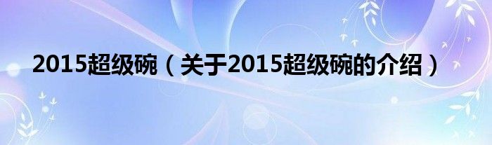 2015超級(jí)碗（關(guān)于2015超級(jí)碗的介紹）