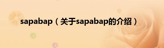 sapabap（關(guān)于sapabap的介紹）