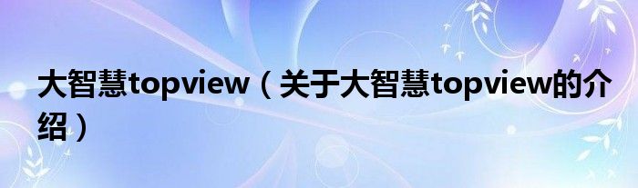 大智慧topview（關(guān)于大智慧topview的介紹）