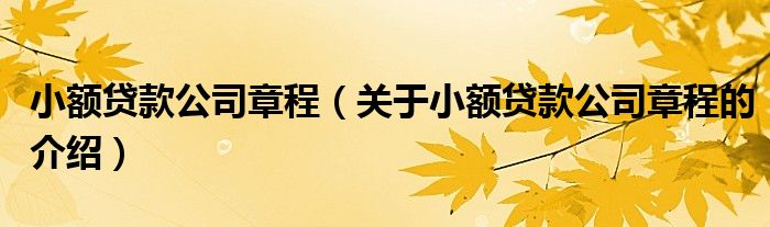 小額貸款公司章程（關(guān)于小額貸款公司章程的介紹）