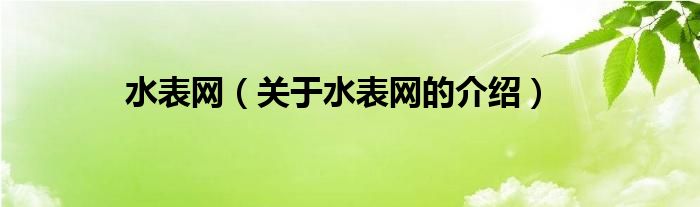 水表網(wǎng)（關(guān)于水表網(wǎng)的介紹）