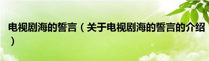 電視劇海的誓言（關(guān)于電視劇海的誓言的介紹）