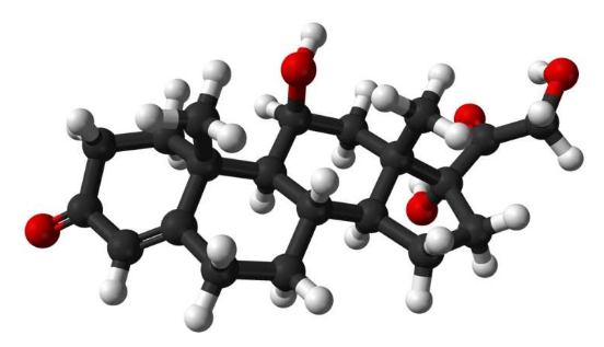 較高的皮質(zhì)醇水平可能有助于預(yù)測(cè)人們未來(lái)患抑郁癥的風(fēng)險(xiǎn)