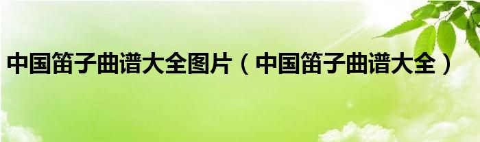 中國(guó)笛子曲譜大全圖片（中國(guó)笛子曲譜大全）