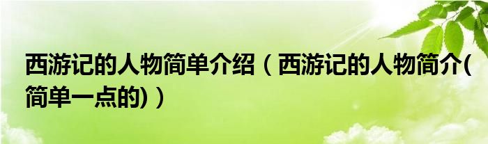 西游記的人物簡單介紹（西游記的人物簡介(簡單一點的)）