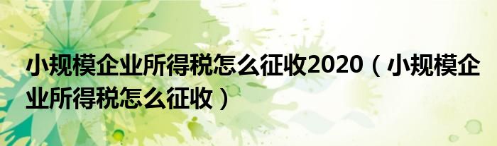 小規(guī)模企業(yè)所得稅怎么征收2020（小規(guī)模企業(yè)所得稅怎么征收）