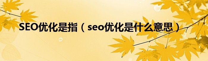 SEO優(yōu)化是指（seo優(yōu)化是什么意思）