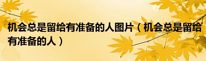 機會總是留給有準(zhǔn)備的人圖片（機會總是留給有準(zhǔn)備的人）