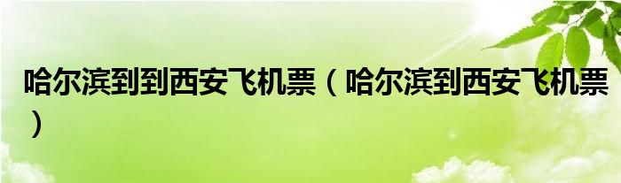 哈爾濱到到西安飛機(jī)票（哈爾濱到西安飛機(jī)票）