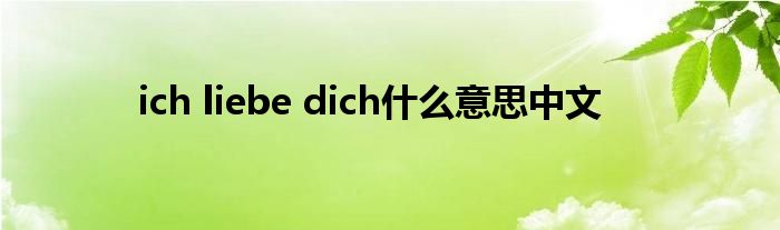 ich liebe dich什么意思中文