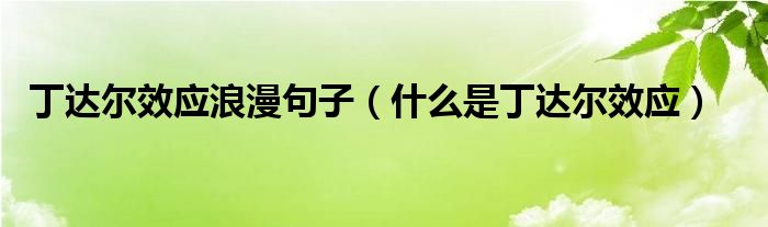 丁達(dá)爾效應(yīng)浪漫句子（什么是丁達(dá)爾效應(yīng)）