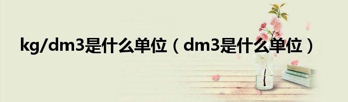 kg/dm3是什么單位（dm3是什么單位）