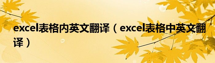 excel表格內(nèi)英文翻譯（excel表格中英文翻譯）