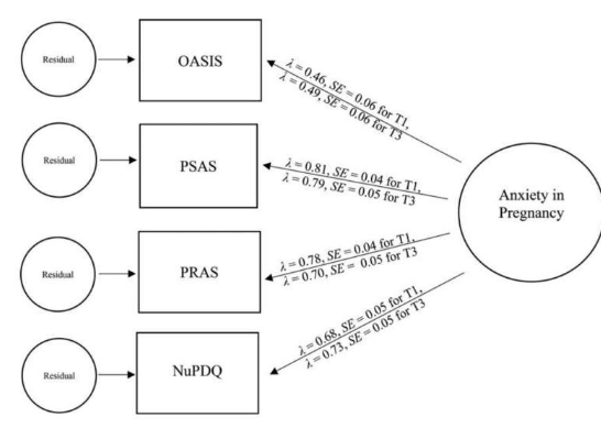 研究發(fā)現(xiàn)懷孕期間的焦慮會(huì)導(dǎo)致早產(chǎn)