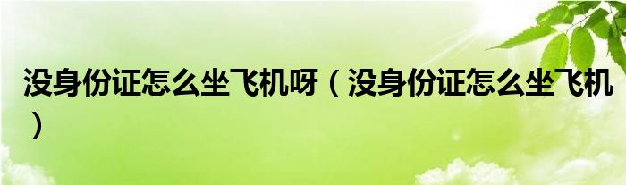 沒(méi)身份證怎么坐飛機(jī)呀（沒(méi)身份證怎么坐飛機(jī)）