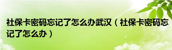 社?？艽a忘記了怎么辦武漢（社?？艽a忘記了怎么辦）