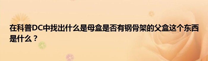 在科普DC中找出什么是母盒是否有鋼骨架的父盒這個(gè)東西是什么？