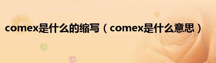 comex是什么的縮寫（comex是什么意思）