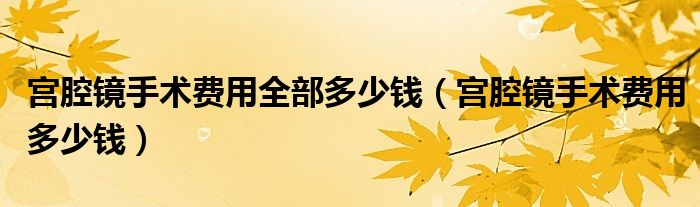 宮腔鏡手術費用全部多少錢（宮腔鏡手術費用多少錢）