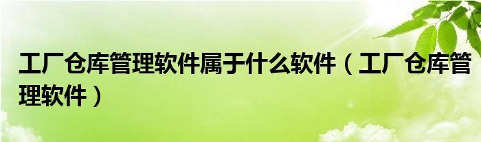 工廠倉庫管理軟件屬于什么軟件（工廠倉庫管理軟件）