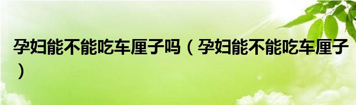 孕婦能不能吃車厘子嗎（孕婦能不能吃車厘子）