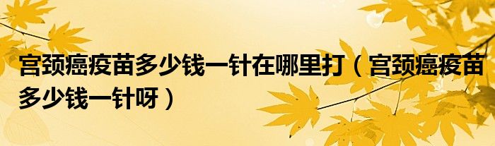 宮頸癌疫苗多少錢一針在哪里打（宮頸癌疫苗多少錢一針呀）