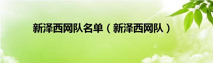 新澤西網(wǎng)隊名單（新澤西網(wǎng)隊）