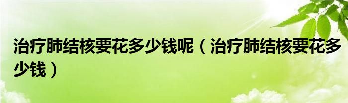 治療肺結(jié)核要花多少錢呢（治療肺結(jié)核要花多少錢）