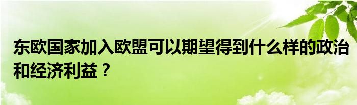 東歐國(guó)家加入歐盟可以期望得到什么樣的政治和經(jīng)濟(jì)利益？