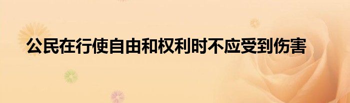 公民在行使自由和權(quán)利時不應(yīng)受到傷害