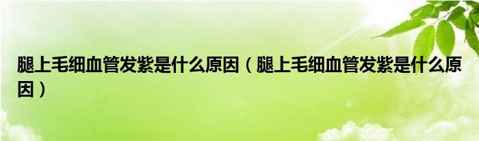 腿上毛細(xì)血管發(fā)紫是什么原因（腿上毛細(xì)血管發(fā)紫是什么原因）