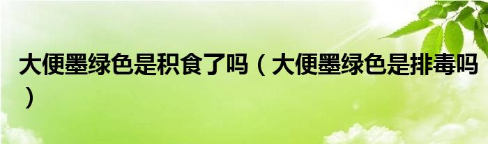 大便墨綠色是積食了嗎（大便墨綠色是排毒嗎）