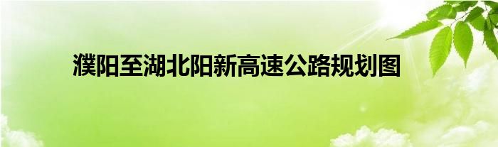 濮陽至湖北陽新高速公路規(guī)劃圖