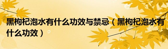 黑枸杞泡水有什么功效與禁忌（黑枸杞泡水有什么功效）