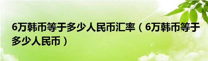 6萬韓幣等于多少人民幣匯率（6萬韓幣等于多少人民幣）