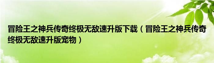 冒險王之神兵傳奇終極無敵速升版下載（冒險王之神兵傳奇終極無敵速升版寵物）