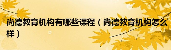 尚德教育機構(gòu)有哪些課程（尚德教育機構(gòu)怎么樣）