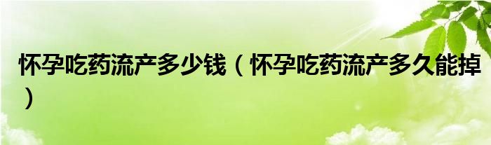 懷孕吃藥流產(chǎn)多少錢(qián)（懷孕吃藥流產(chǎn)多久能掉）