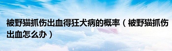 被野貓抓傷出血得狂犬病的概率（被野貓抓傷出血怎么辦）