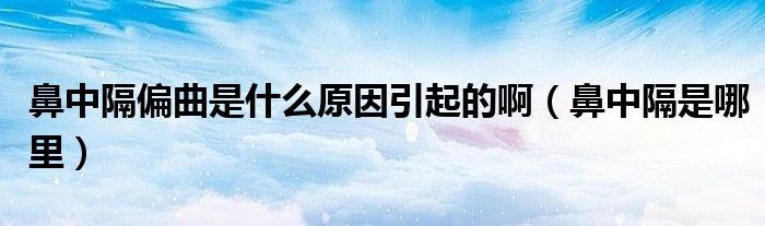 鼻中隔偏曲是什么原因引起的?。ū侵懈羰悄睦铮?class='thumb lazy' /></a>
		    <header>
		<h2><a  href=