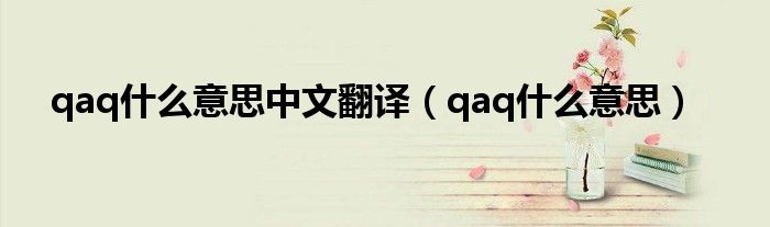 qaq什么意思中文翻譯（qaq什么意思）