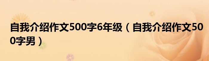 自我介紹作文500字6年級(jí)（自我介紹作文500字男）