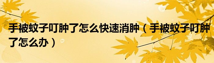 手被蚊子叮腫了怎么快速消腫(手被蚊子叮腫了怎么辦)