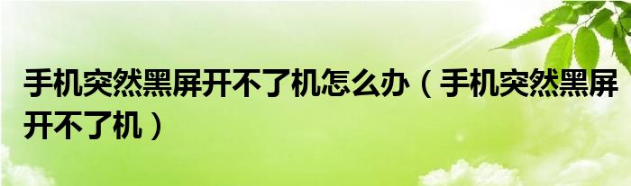 手機(jī)突然黑屏開(kāi)不了機(jī)怎么辦（手機(jī)突然黑屏開(kāi)不了機(jī)）