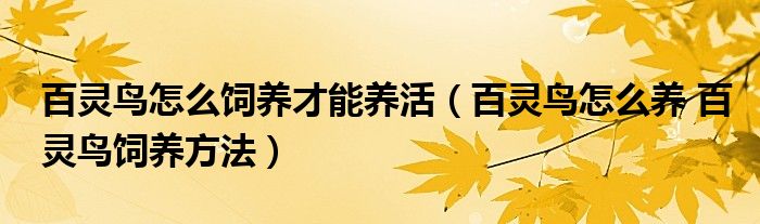 百靈鳥怎么飼養(yǎng)才能養(yǎng)活（百靈鳥怎么養(yǎng) 百靈鳥飼養(yǎng)方法）