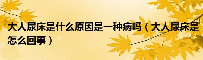 大人尿床是什么原因是一種病嗎（大人尿床是怎么回事）