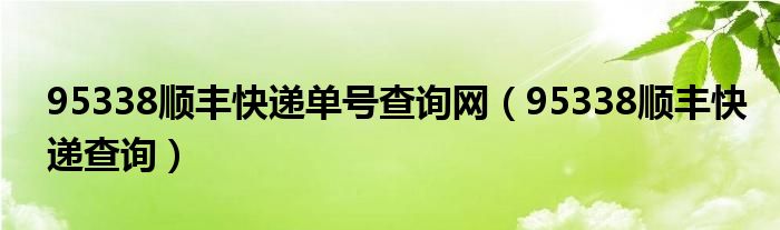 95338順豐快遞單號(hào)查詢(xún)網(wǎng)（95338順豐快遞查詢(xún)）