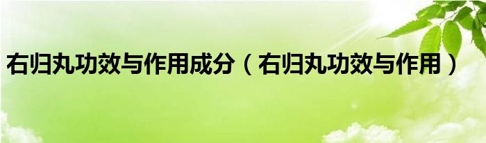 右歸丸功效與作用成分（右歸丸功效與作用）