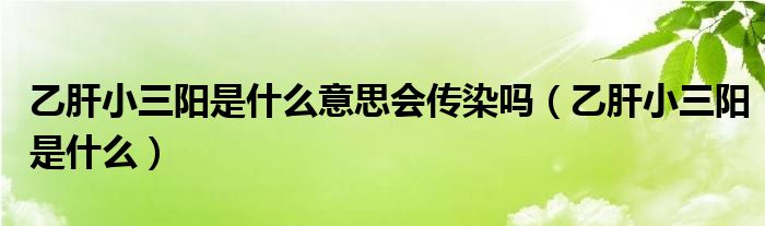 乙肝小三陽(yáng)是什么意思會(huì)傳染嗎（乙肝小三陽(yáng)是什么）